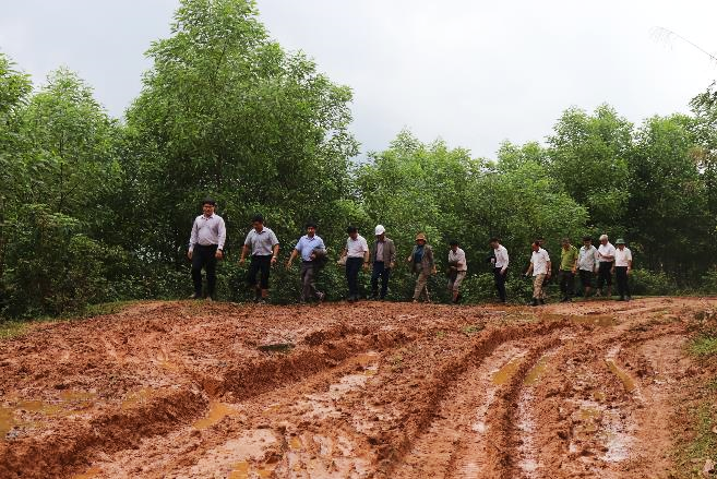 Phó Chủ tịch UBND tỉnh Trần Phước Hiền kiểm tra công tác bảo vệ và phát triển rừng tại Ba Tơ