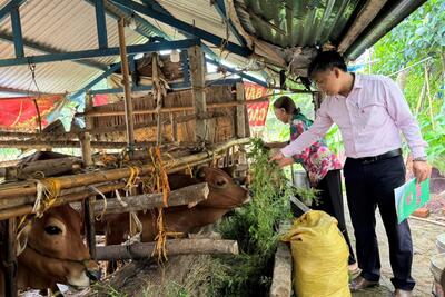 Kết quả thực hiện kiểm tra, giám sát hoạt động nguồn vốn tín dụng chính sách xã hội 05 tháng đầu năm 2025 tại các địa phương trên địa bàn huyện